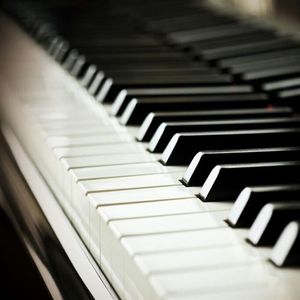 性感美女黄色大片。
